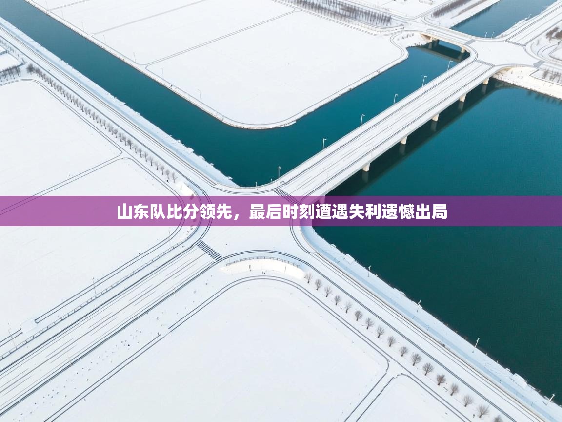 山东队比分领先，最后时刻遭遇失利遗憾出局  第1张