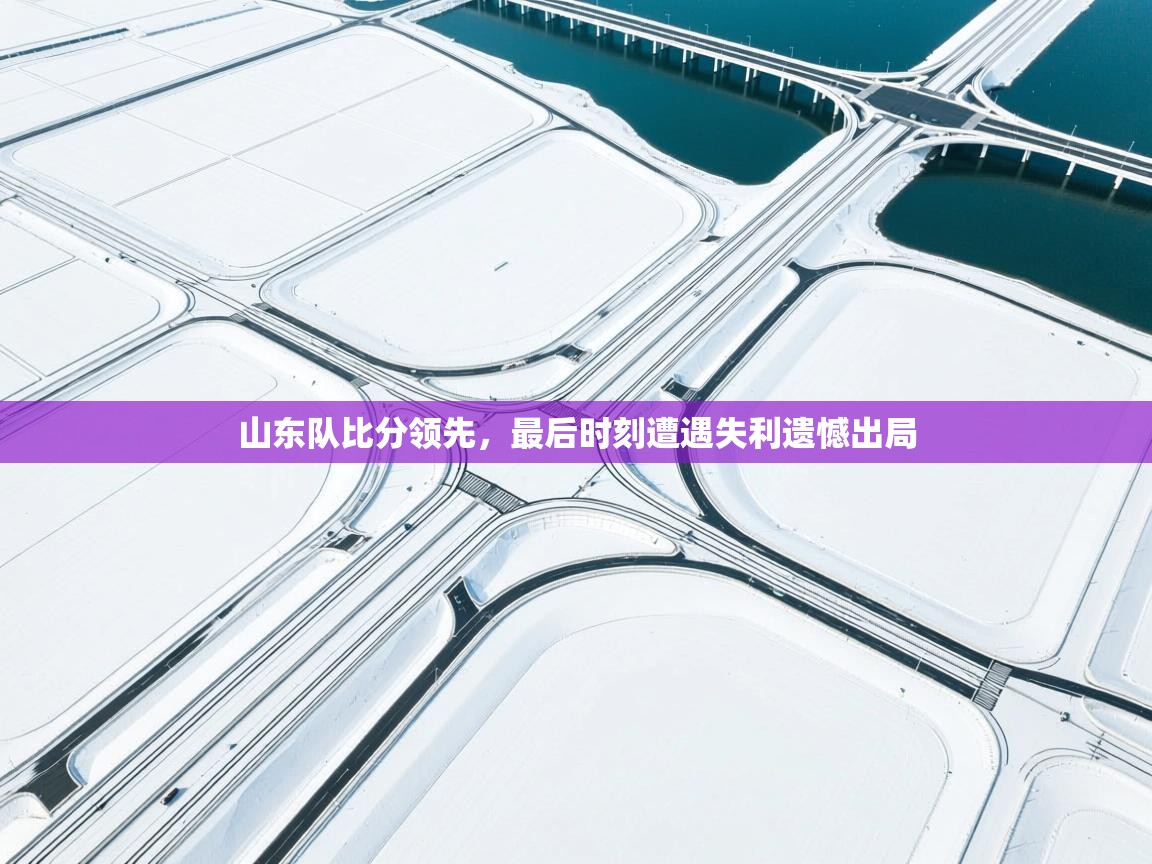 山东队比分领先，最后时刻遭遇失利遗憾出局  第2张